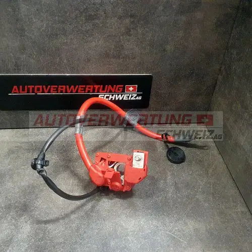 6988972 Pluskabel BMW E90