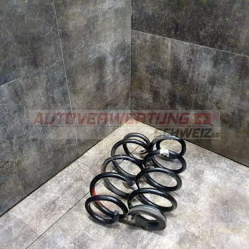 Federn Hinten Mini Cooper F55