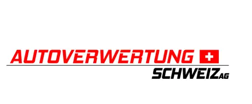 9641553880 Scheibenwasserpumpe Renault Clio 1.2L