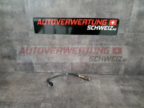 Stossdämpfer Hinten Renault Clio 1.2L