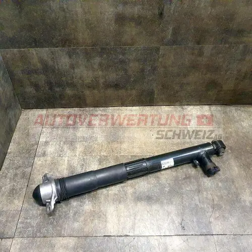 Stossdämpfer hinten VW Golf 7