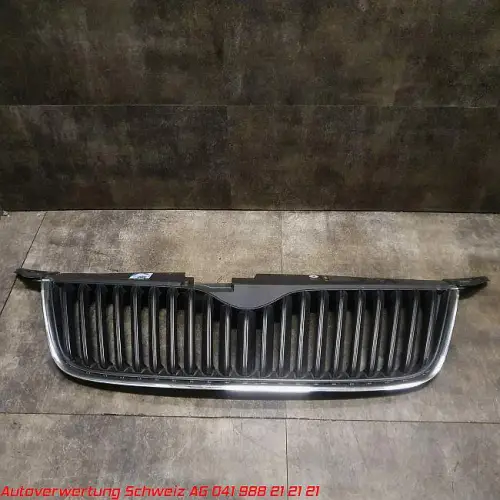 1K0 615 423 J Bremszange Hinten links VAG (Skoda Yeti)