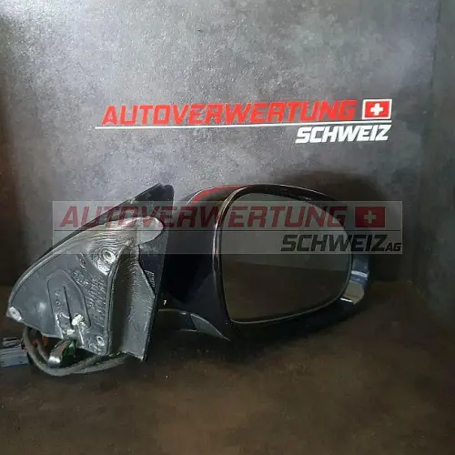 Aussenspiegel Passast 3C