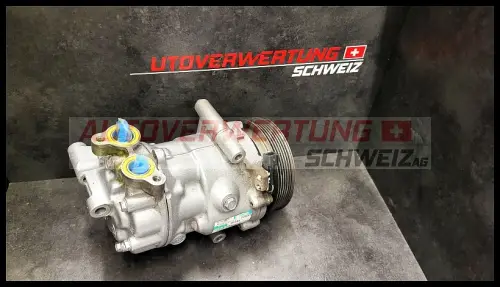 Klimakompressor SANDEN Ford Transit