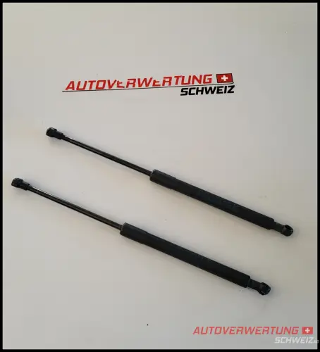 51237060550 Haubendämpfer BMW
