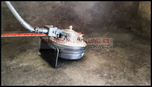 HUPE HORN RANULT