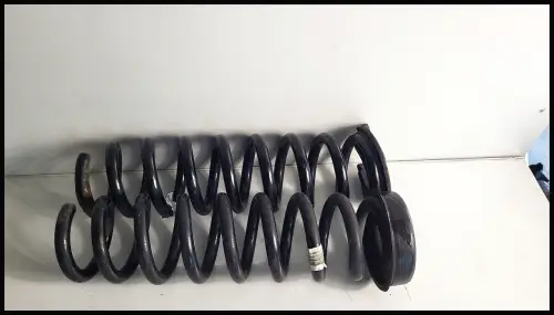 Federn hinten BMW F31