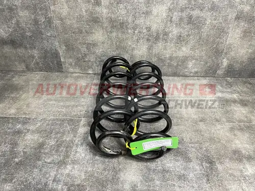 Federn Hinten VW Golf 5 1.4TSI