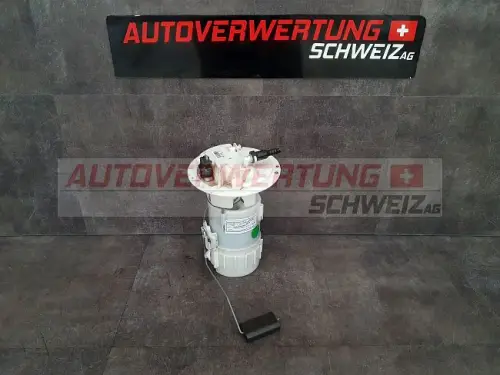 9674466680 Kraftstoffpumpe / Benzinpumpe Peugeot 208 1.6L