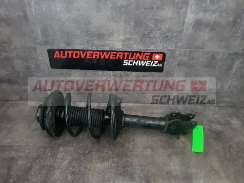 Federbein Hinten Links Nissan X Trail 2.2d