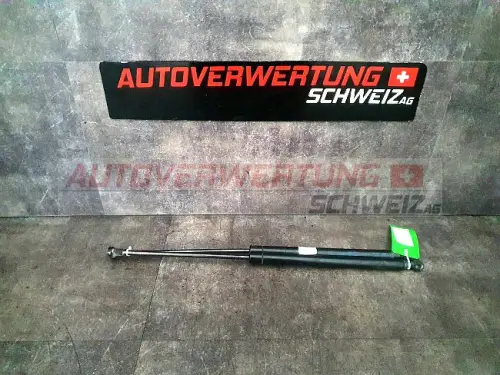 4687091 HECKKLAPPENDÄMPFER HECKDECKELDÄMPFER FIAT PANDA 4X4 1.3D PRO STK.