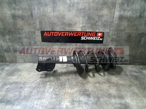 20310SC060 Federbein Vorne Rechts Subaru Forester