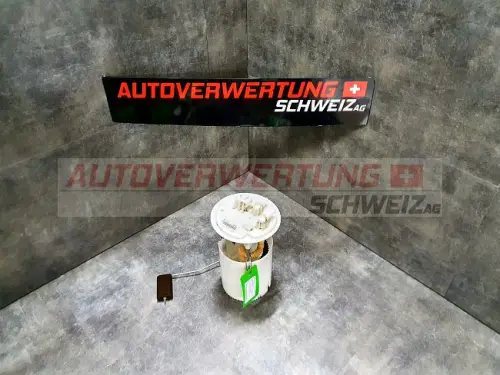 Kraftstoffpumpe / Benzinpumpe Renault Megane 1.5dci