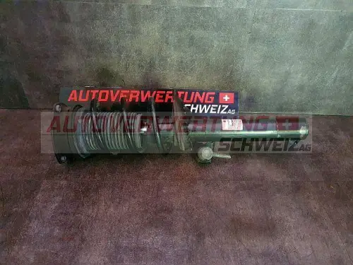 ACHSSCHENKEL HINTE LINKS SEAT LEON ST