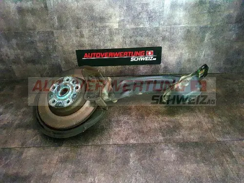 ACHSSCHENKEL HINTEN LINKS VW TIGUAN
