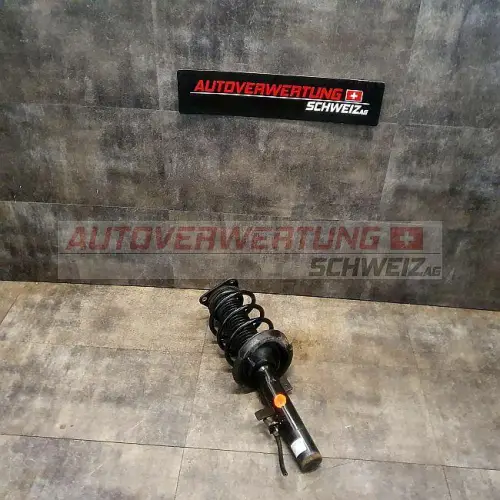 BV61-18K001-AAC FEDERBEIN VORNE RECHTS LINKS