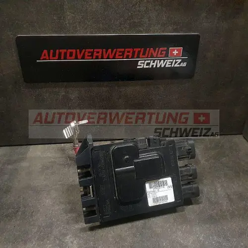 243800011R SICHERUNG BATTERIE RENAULT MEGANE III