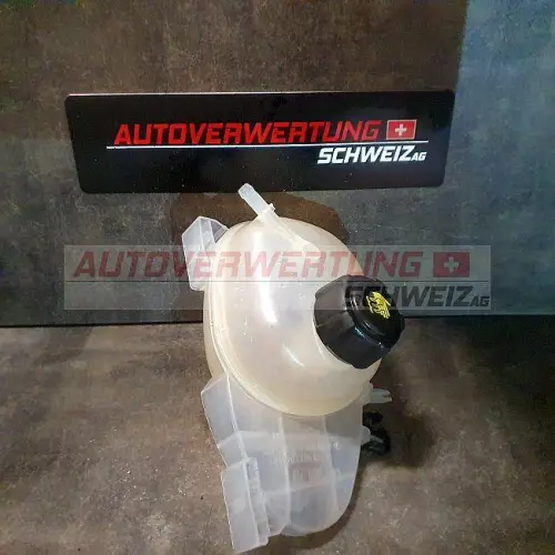 STOSSSTANGE HINTEN INK. TRÄGER RENAULT TWINGO III