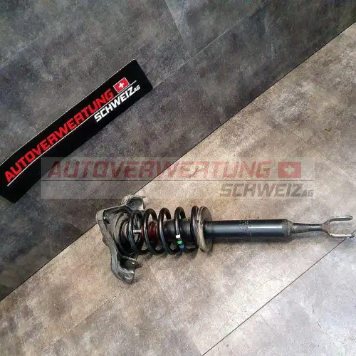 8E0413031DE FEDERBEIN VORNE RECHTS AUDI A4 B7